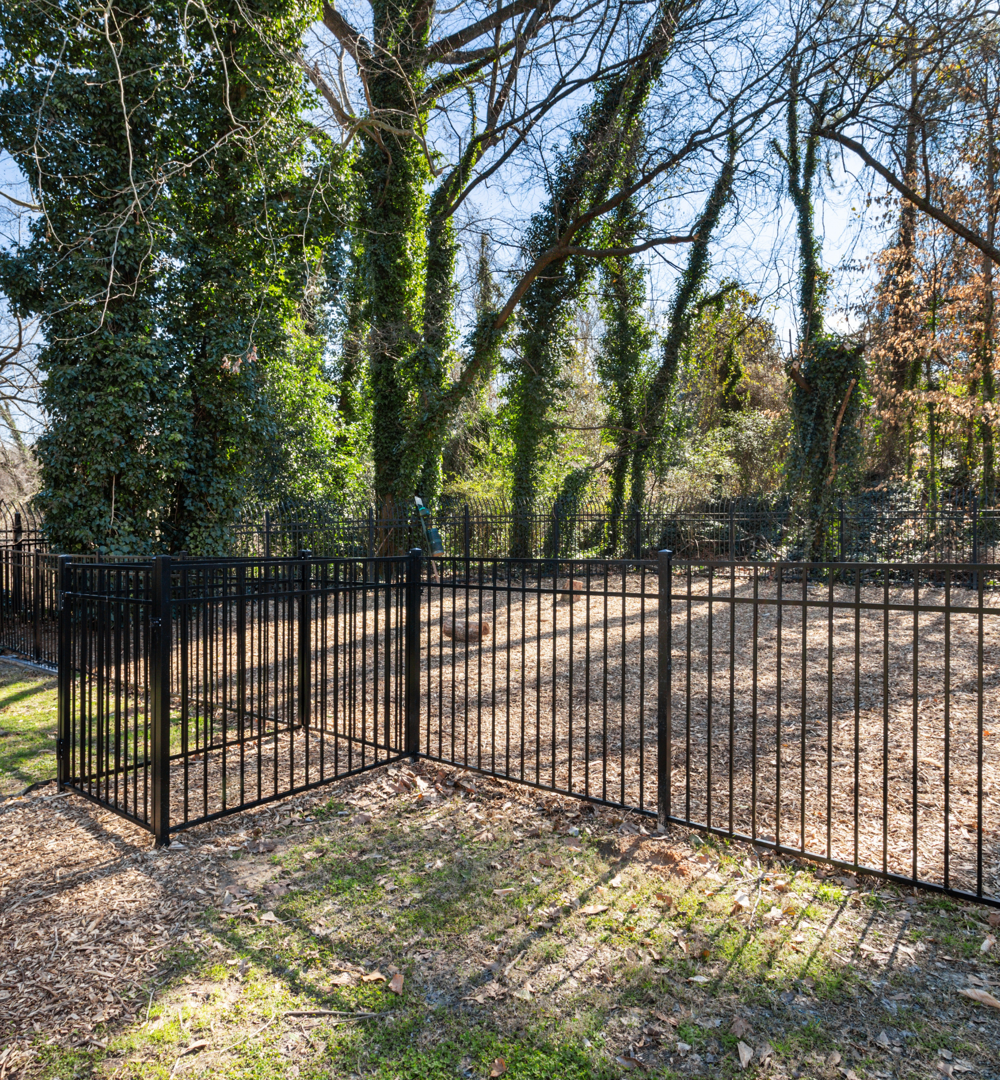 Peachtree Park - Atlanta, GA - Dog Park